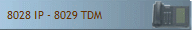 8028 IP - 8029 TDM
